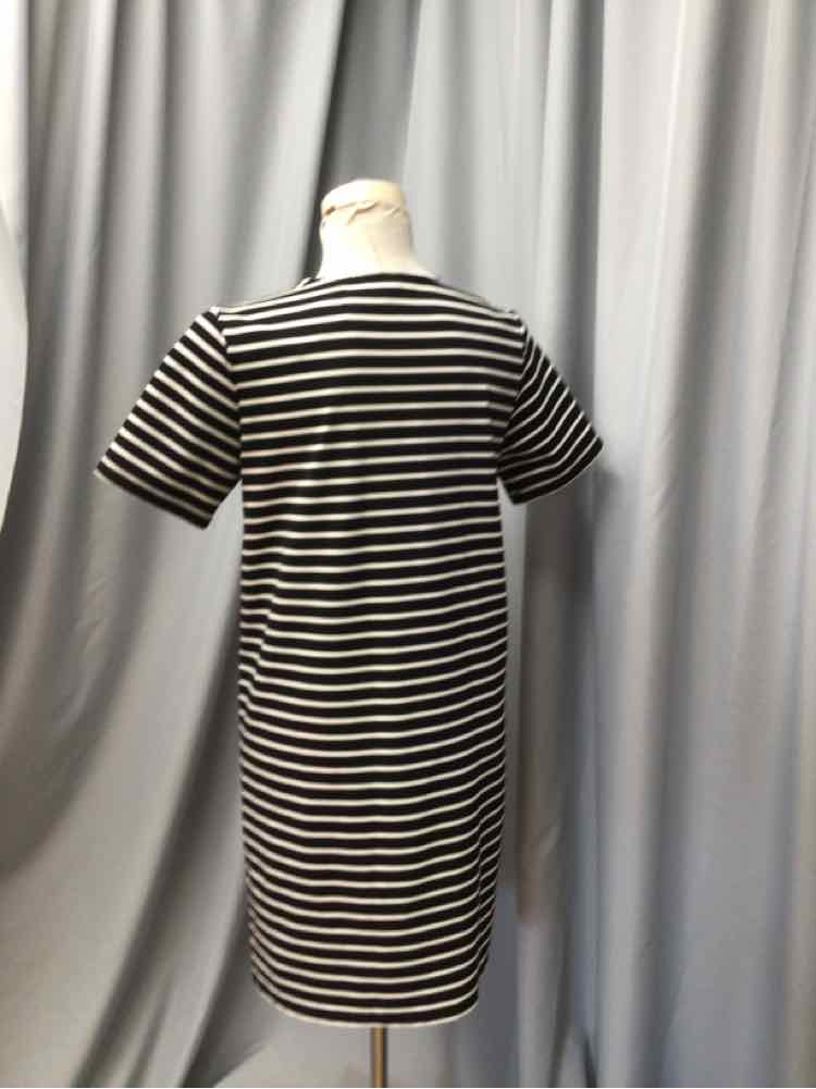 SUNCOO SIZE SMALL Ladies DRESS