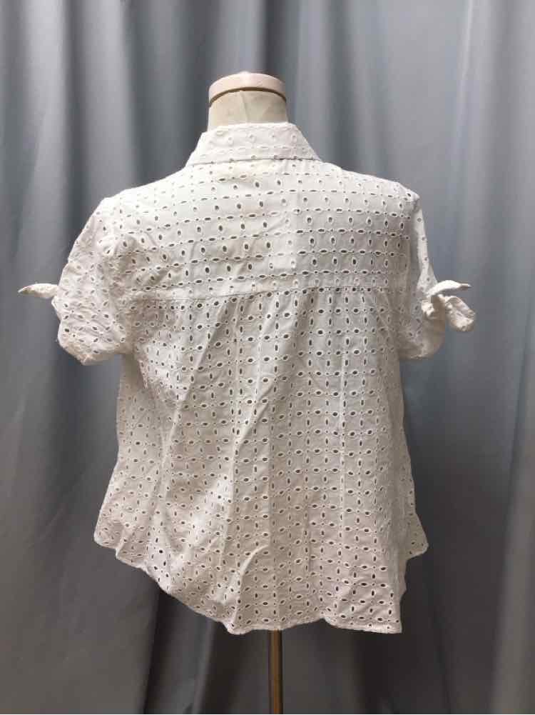 CYNTHIA ROSE SIZE LARGE Ladies BLOUSE