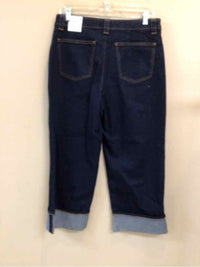 TALBOTS SIZE 8 PETITE Ladies JEANS