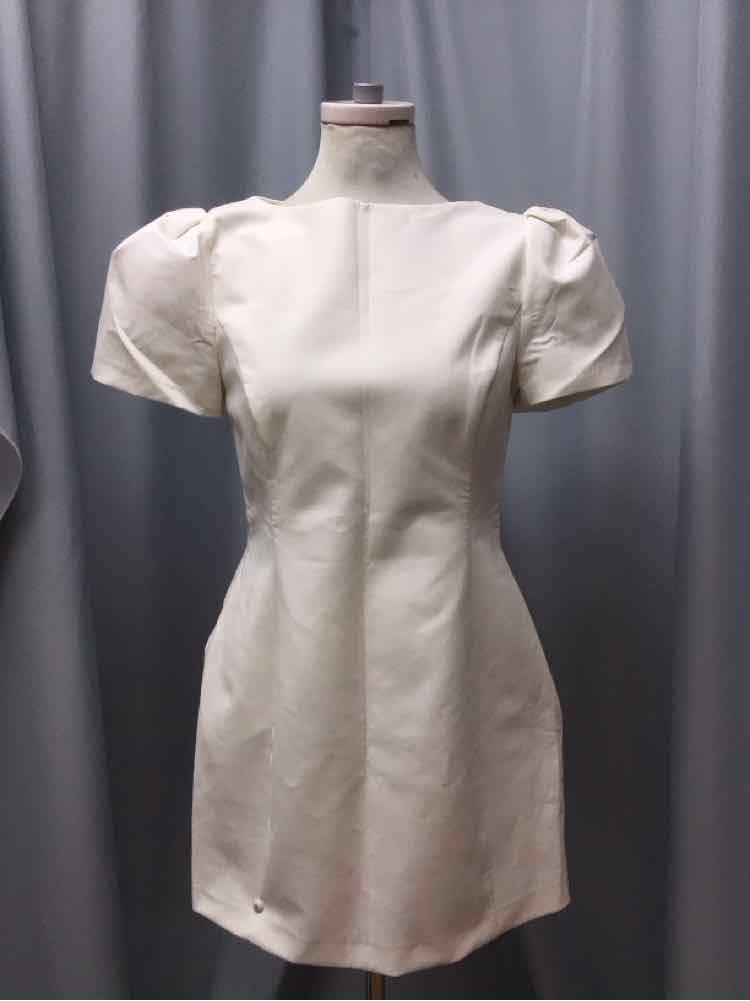 ZARA SIZE LARGE Ladies DRESS
