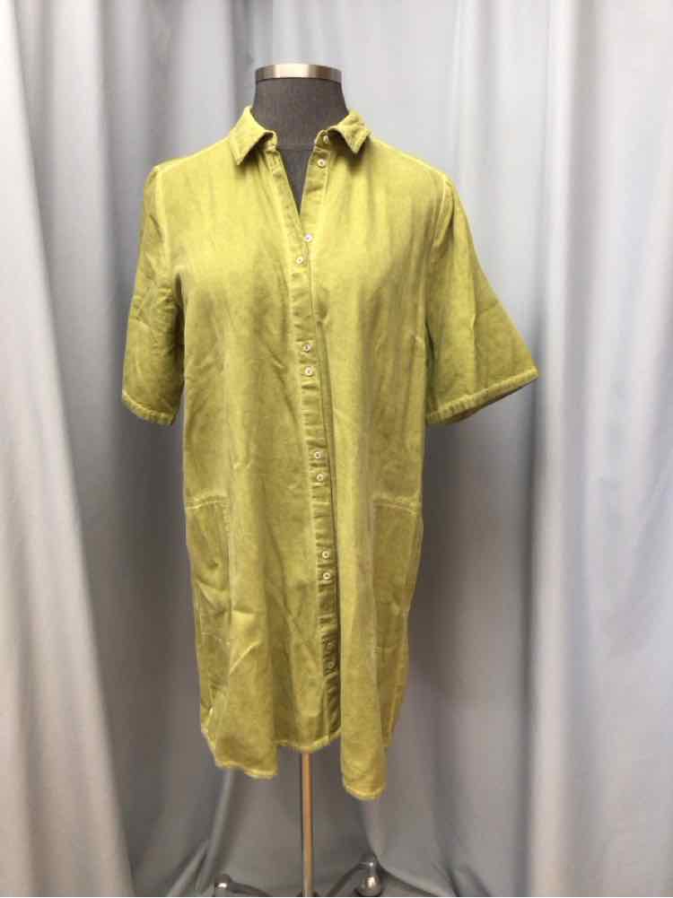 LOGO SIZE X LARGE Ladies DRESS