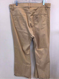ANN TAYLOR SIZE 16 Ladies PANTS