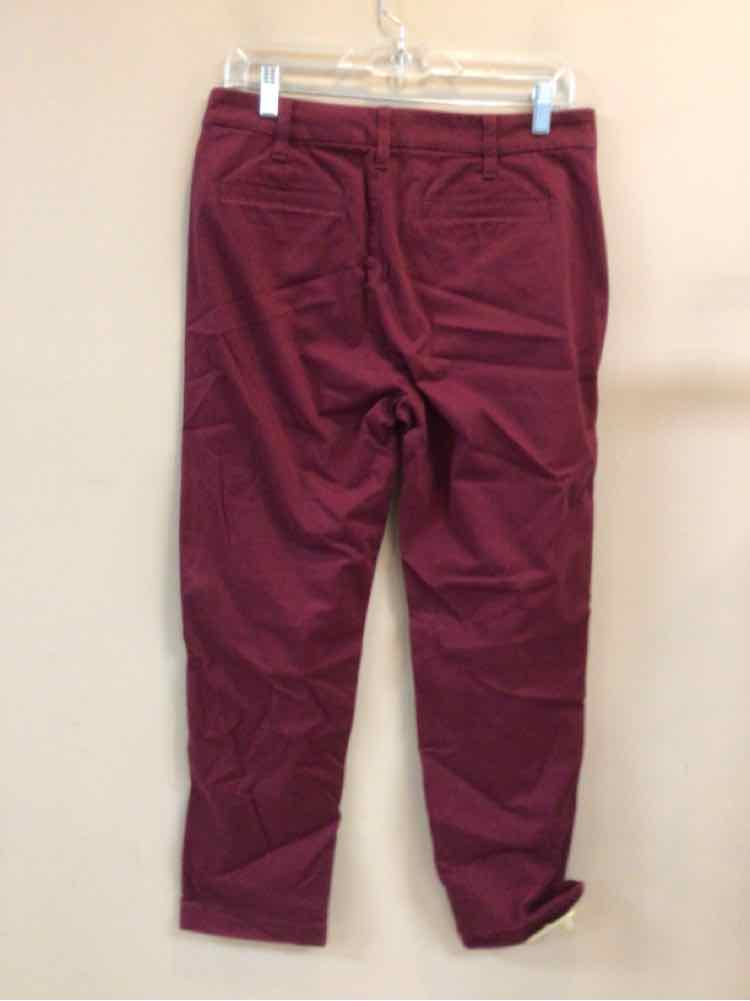 J CREW SIZE 6 Ladies PANTS