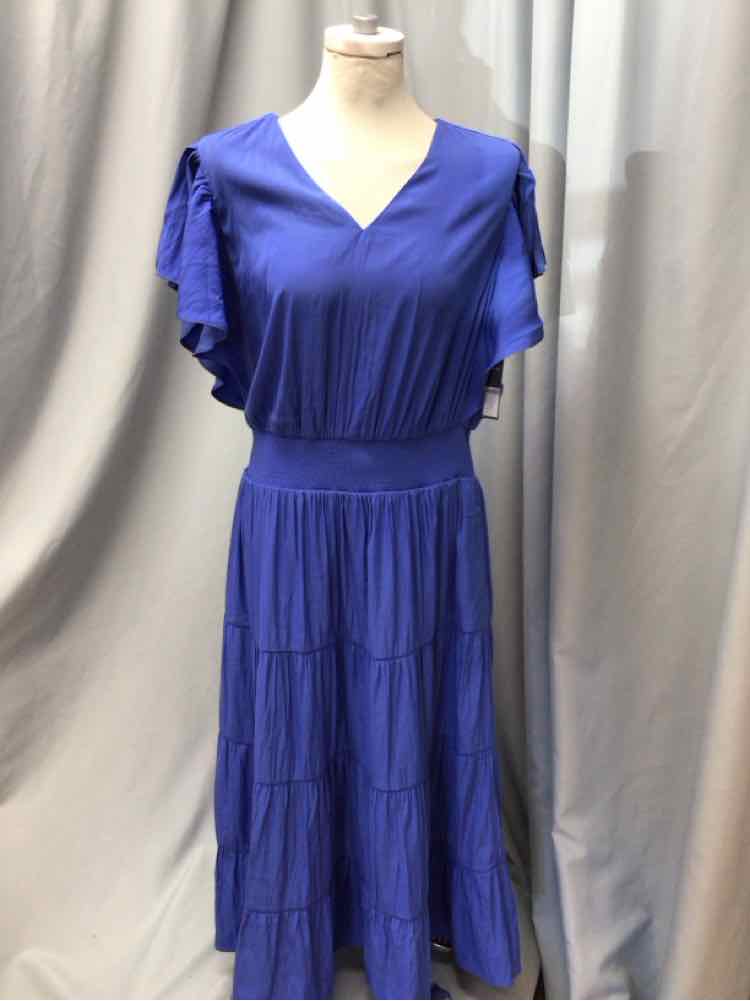 CHICOS SIZE 12 PETITE Ladies DRESS