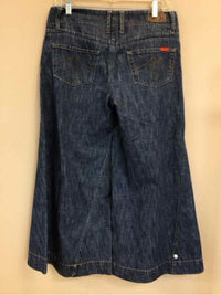 LEVEL 99 SIZE 29 Ladies JEANS