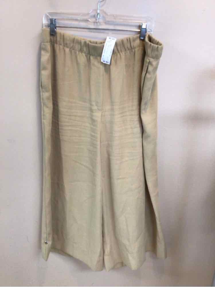 H & M SIZE X LARGE Ladies PANTS