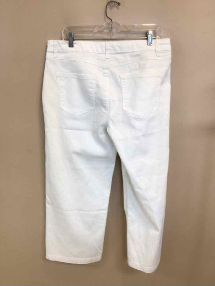CURVE APPEAL SIZE 12 Ladies PANTS