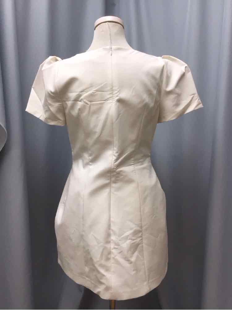 ZARA SIZE LARGE Ladies DRESS