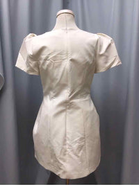 ZARA SIZE LARGE Ladies DRESS