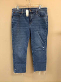 J CREW SIZE 32 Ladies JEANS