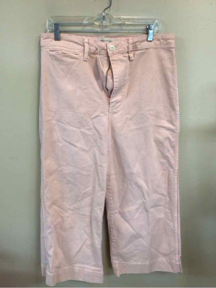 MADEWELL SIZE 31 Ladies PANTS