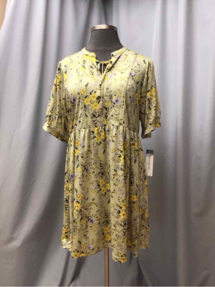 SKYE'S THE LIMIT SIZE 2 X Ladies DRESS