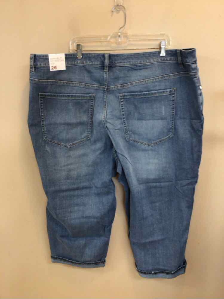 LANE BRYANT SIZE 26 PLUS Ladies JEANS