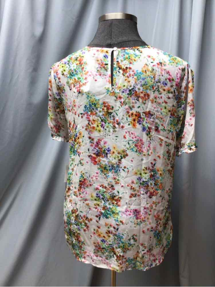 DANIEL RAINN SIZE XX LARGE Ladies BLOUSE