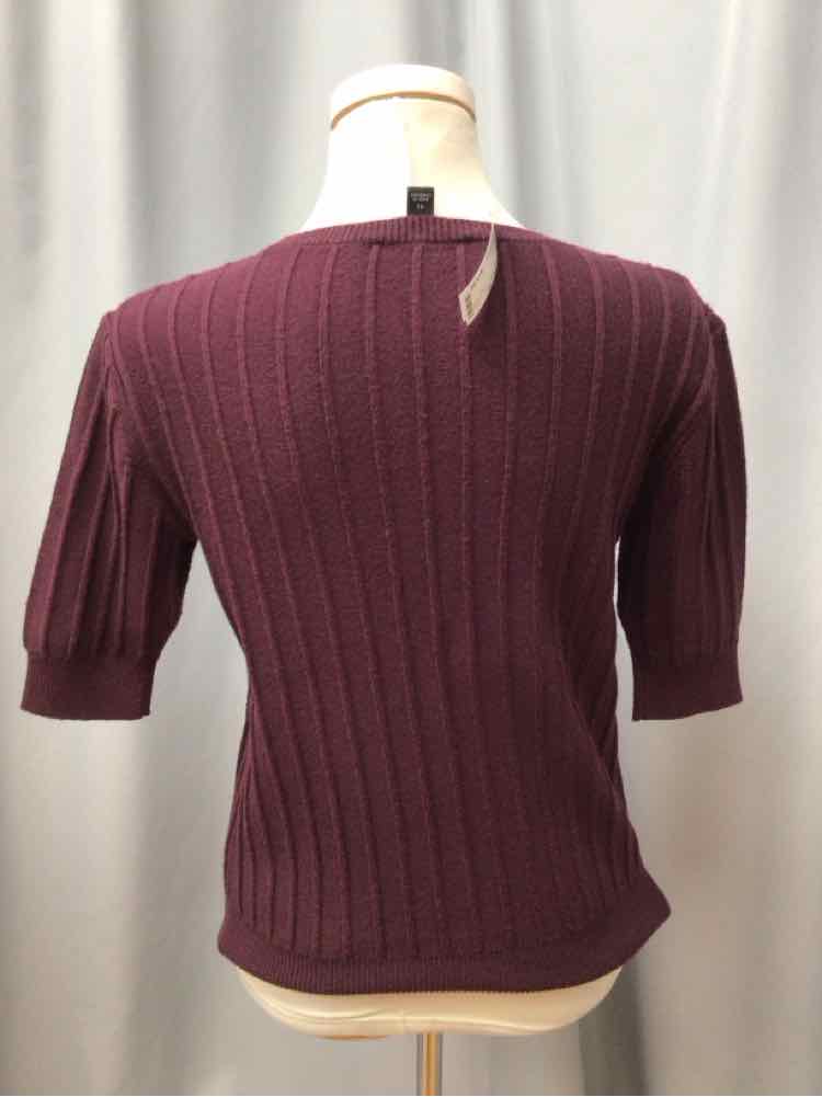 ANN TAYLOR SIZE XSMALL Ladies TOP