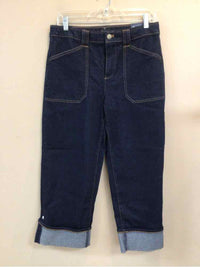 TALBOTS SIZE 8 PETITE Ladies JEANS