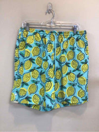 SIZE LARGE RSVLTS Men's SHORTS