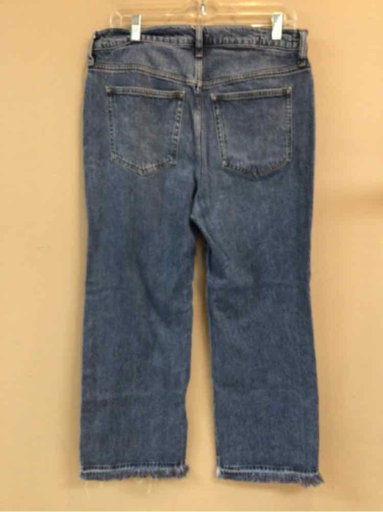 J CREW SIZE 30 Ladies JEANS