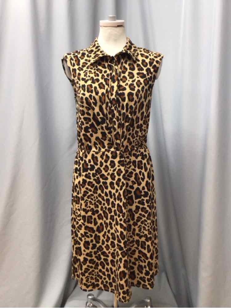 WORTHINGTON SIZE MEDIUM Ladies DRESS