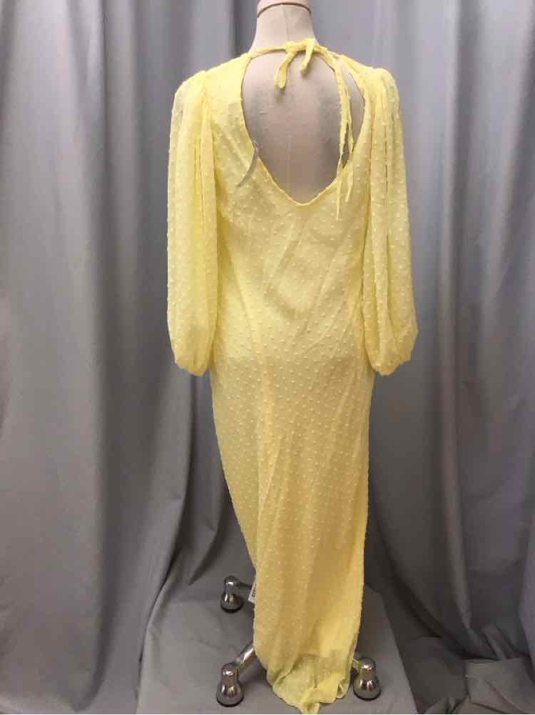 SIZE MEDIUM ASOS Ladies DRESS