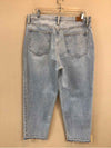 BDG SIZE 32 Ladies JEANS