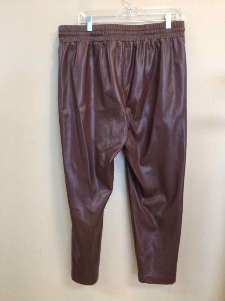 LOFT SIZE LARGE Ladies PANTS