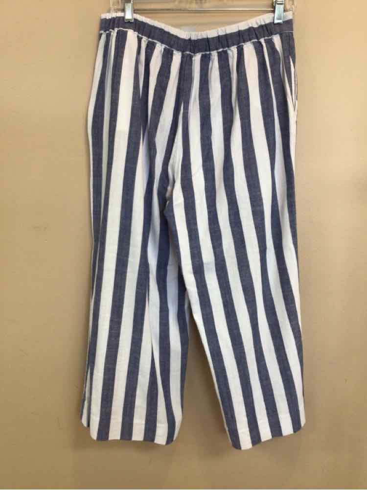 BANANA REPUBLIC SIZE 10 Ladies PANTS