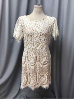 LULUS SIZE X LARGE Ladies DRESS