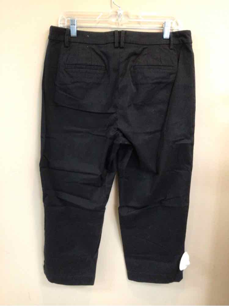 TALBOTS SIZE 10 Ladies PANTS
