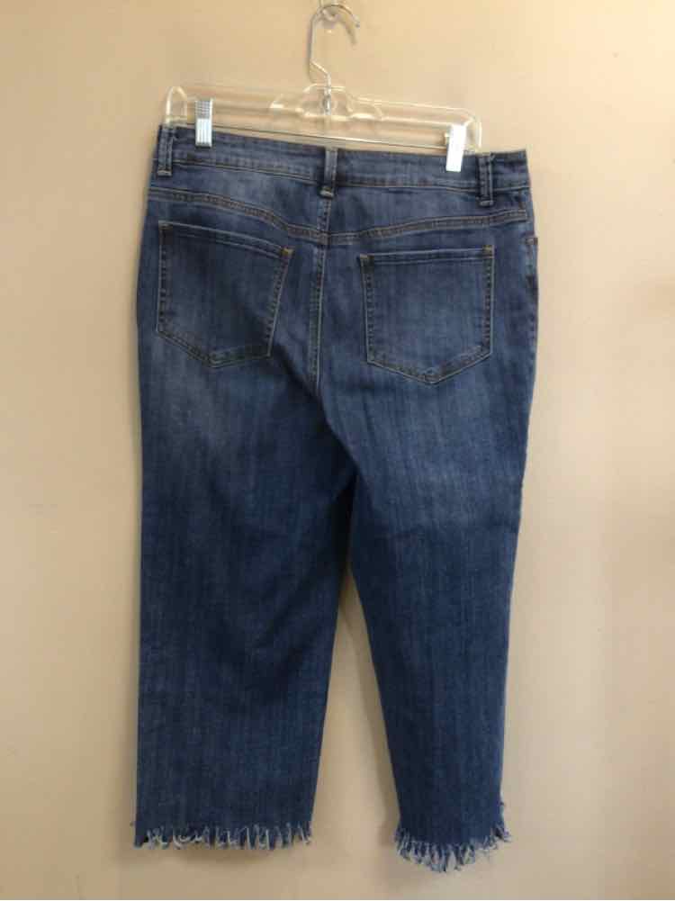 CHICOS SIZE 6 Ladies JEANS