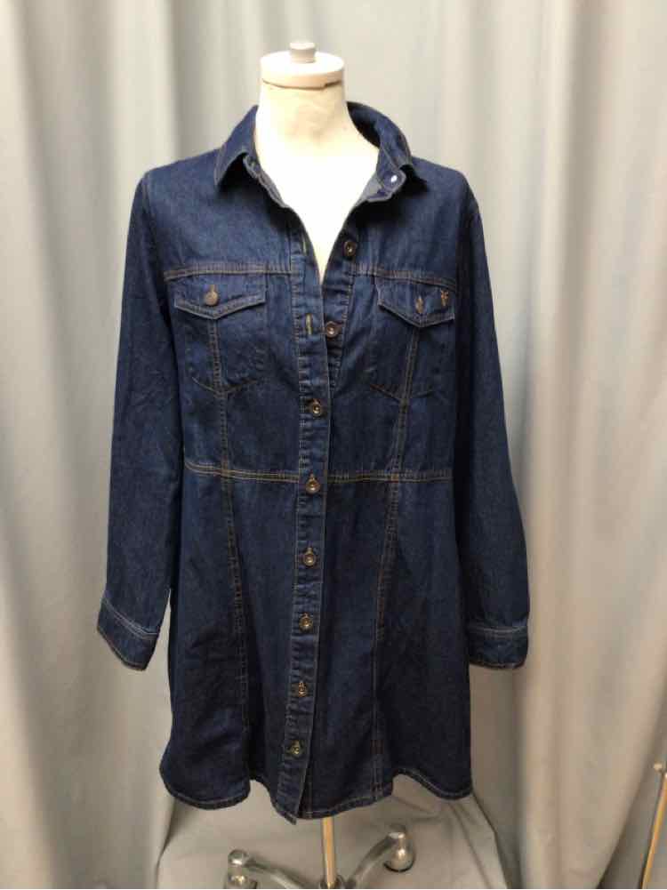 FRYE SIZE LARGE Ladies DRESS