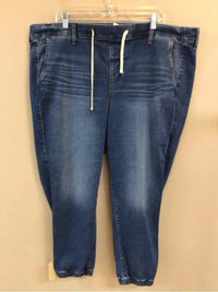 TORRID SIZE 3 X Ladies JEANS