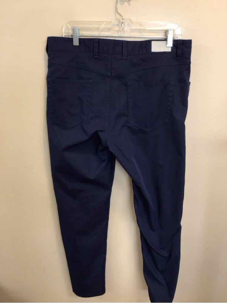 SIZE 34 PETER MILLAR Men's PANTS