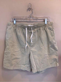 SIZE LARGE PACSUN Men's SHORTS