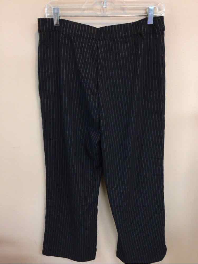 SINCERELY JULES SIZE LARGE Ladies PANTS