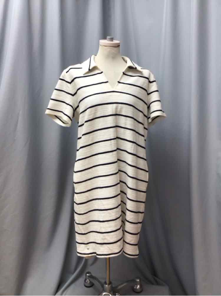TALBOTS SIZE LARGE Ladies DRESS