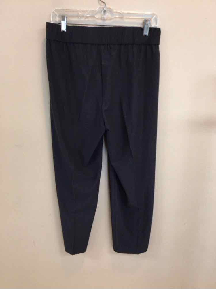 EILEEN FISHER SIZE XSMALL Ladies PANTS