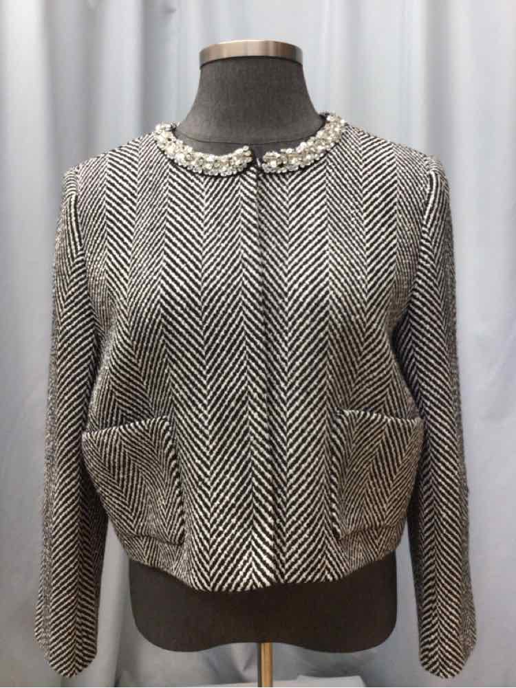 ANN TAYLOR SIZE 18 Ladies BLAZER
