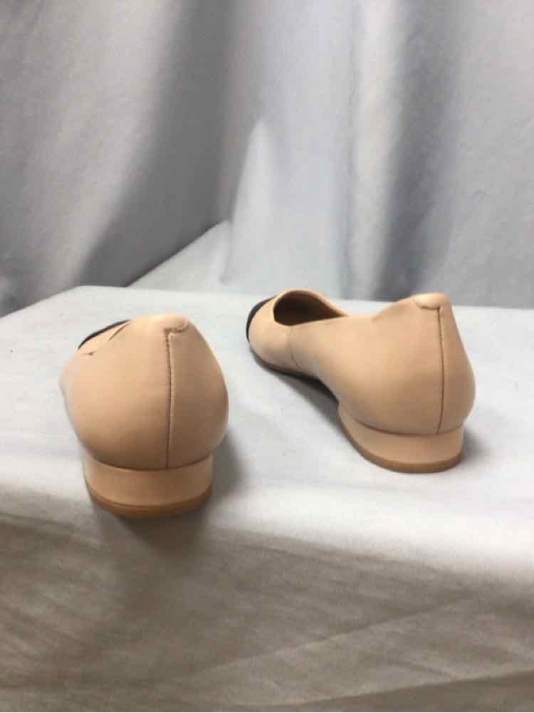 STEVE MADDEN SIZE 11 Ladies SHOES