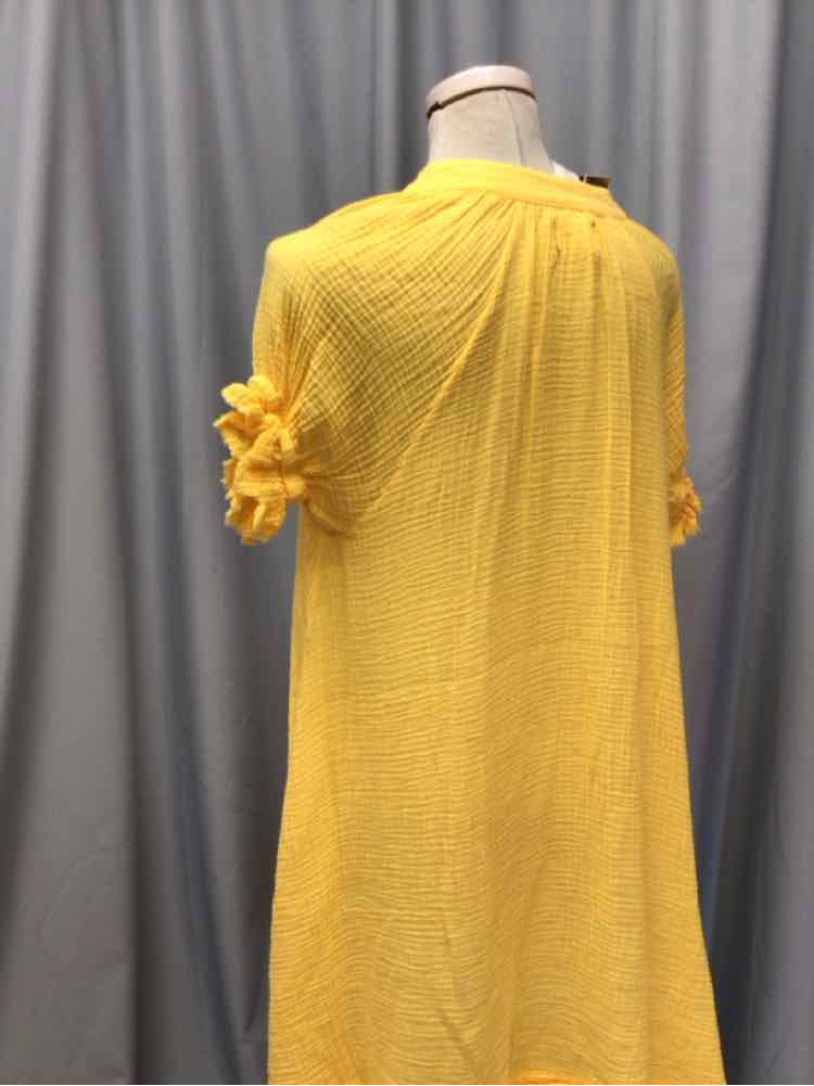 9 SEED SIZE SMALL Ladies DRESS