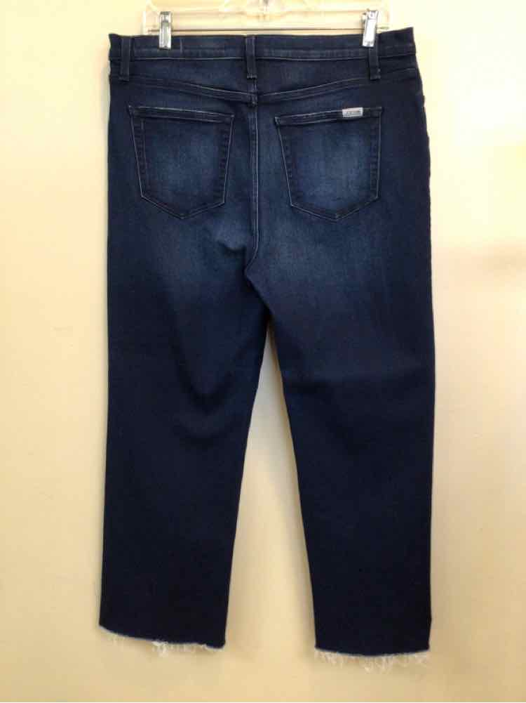 JOES SIZE 31 Ladies JEANS