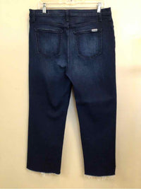 JOES SIZE 31 Ladies JEANS