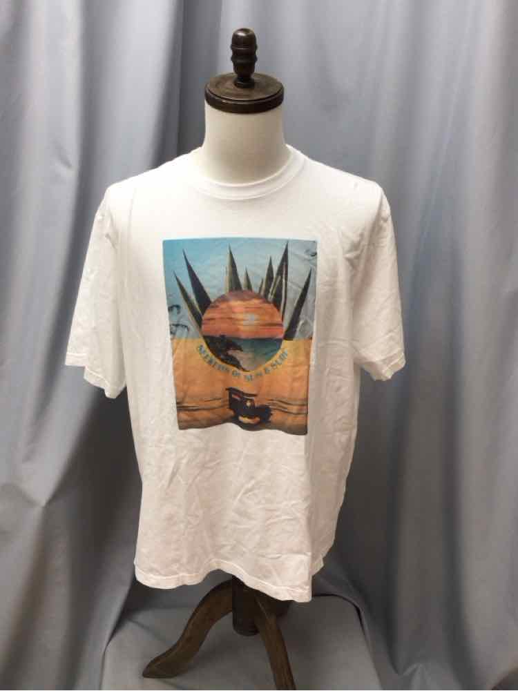 SIZE XX LARGE AMERICAN EAGLE Men's SHIRTS