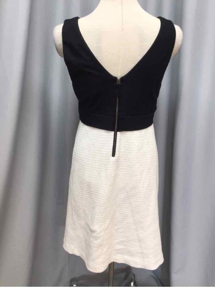 MAEVE SIZE 10 PETITE Ladies DRESS