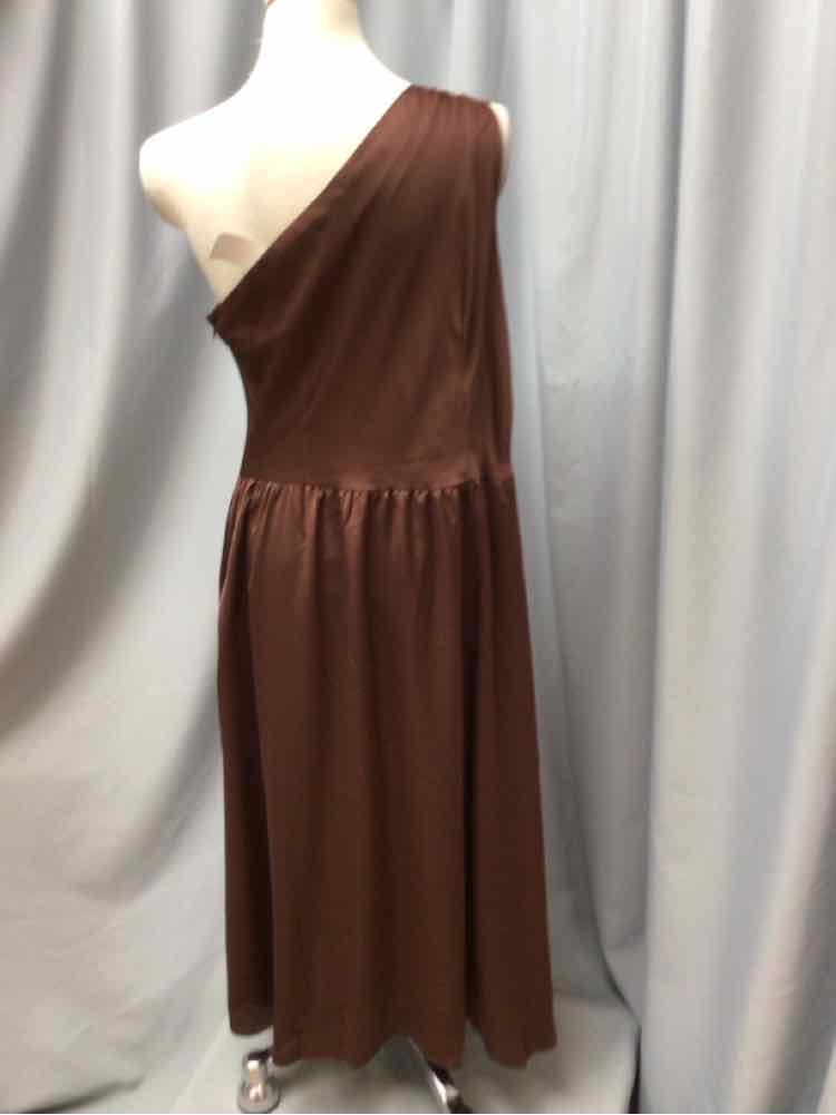 ANN TAYLOR SIZE 12 PETITE Ladies DRESS