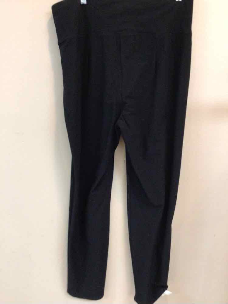 EILEEN FISHER SIZE MEDIUM Ladies PANTS