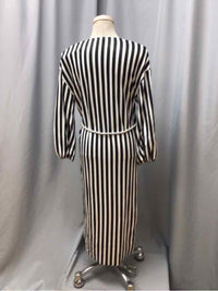 ZARA SIZE SMALL Ladies DRESS