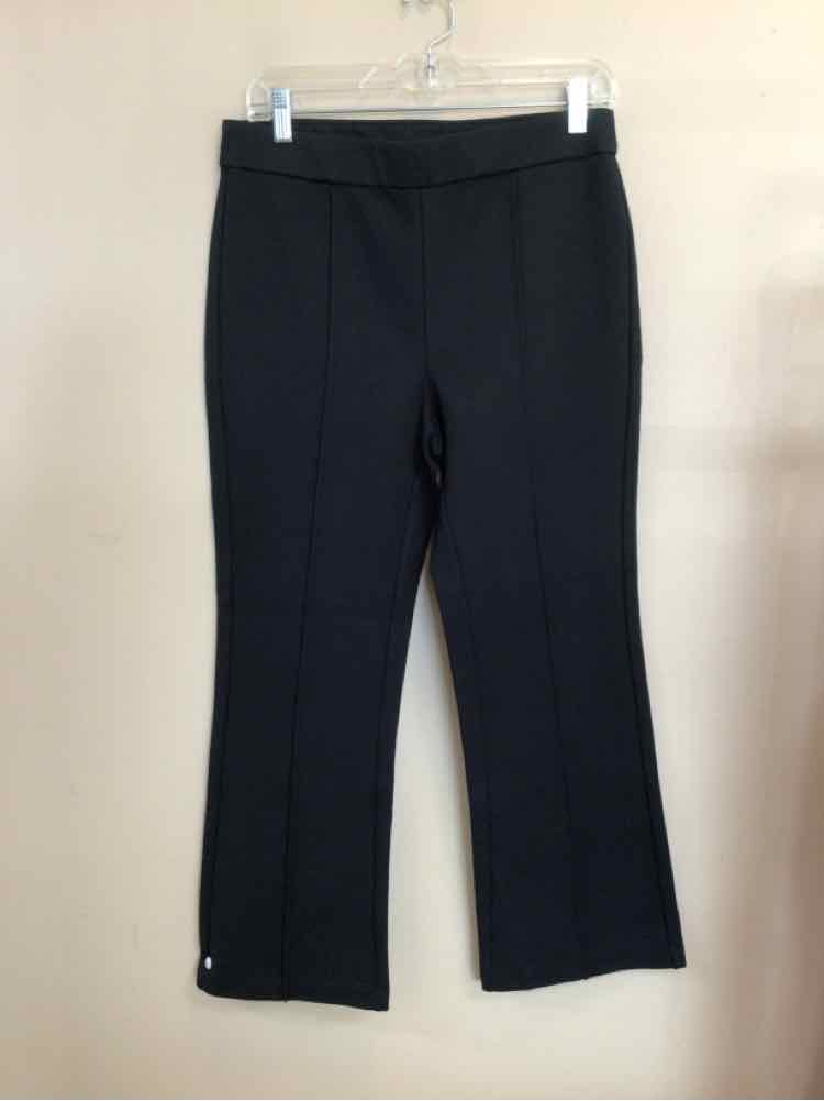 J CREW SIZE 10 Ladies PANTS