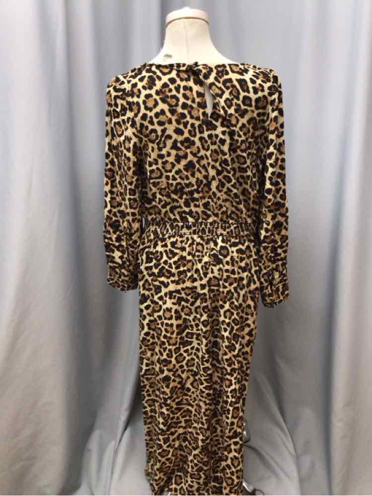 LOFT SIZE LARGE PET Ladies DRESS
