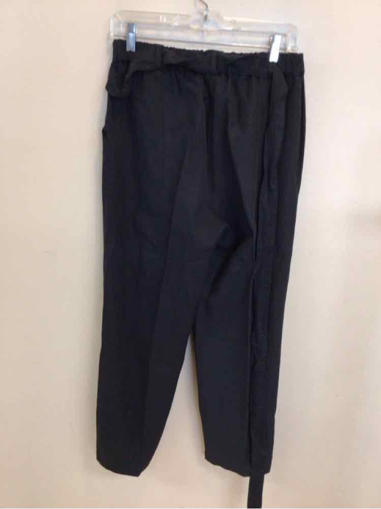 EILEEN FISHER SIZE XSMALL Ladies PANTS